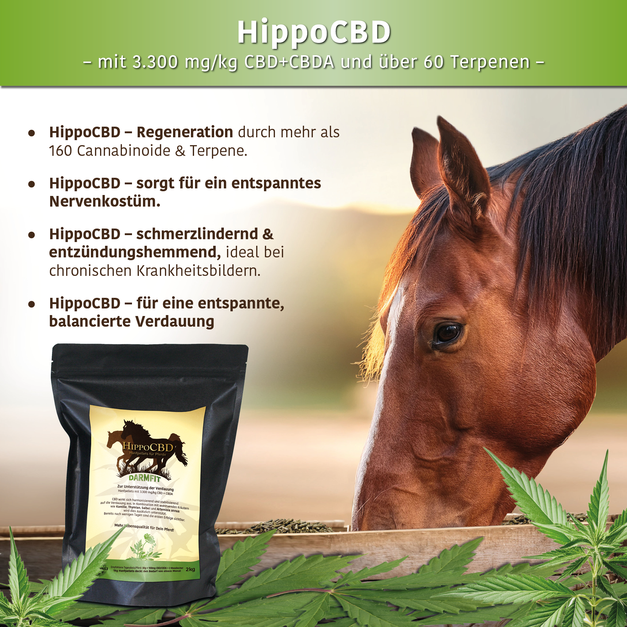 HippoCBD® Darmfit – Für die sensible Verdauung