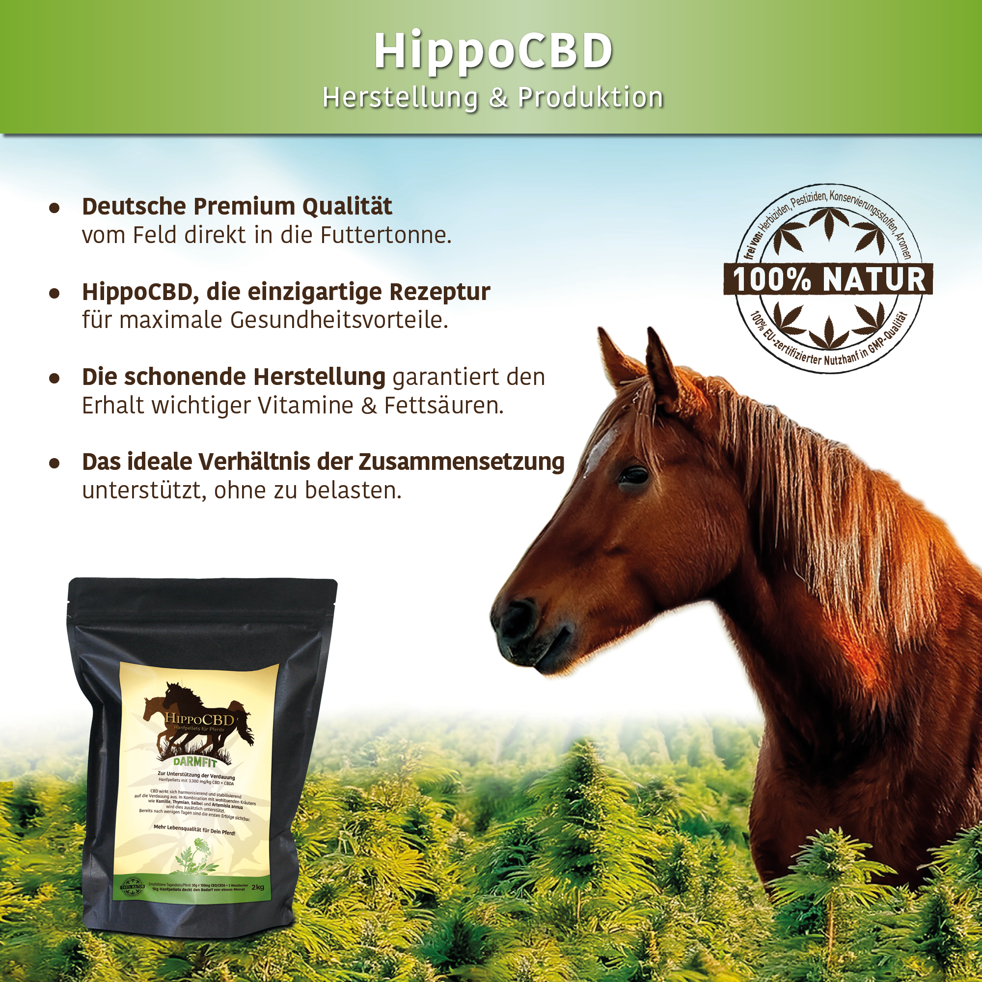 HippoCBD® Darmfit – Für die sensible Verdauung