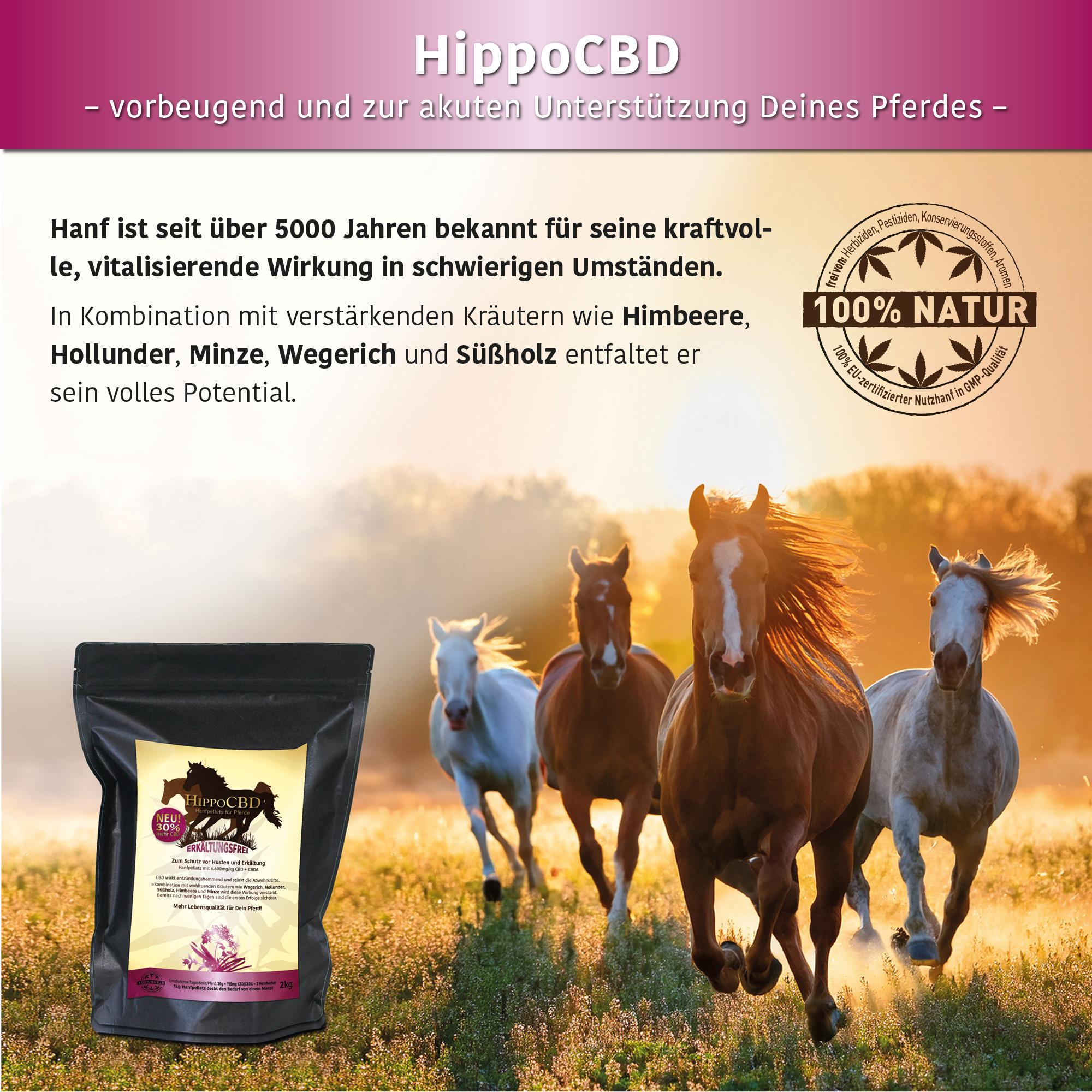HippoCBD® Erkältungsfrei – Zum Schutz vor Husten und Erkältung