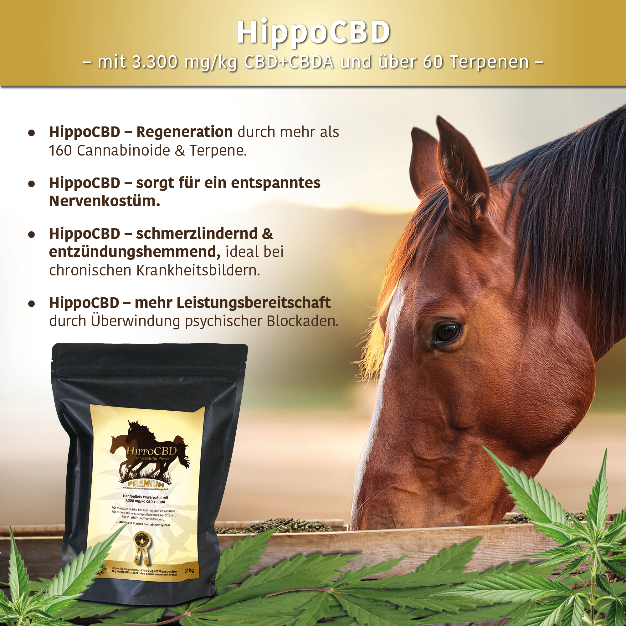 HippoCBD® Premium - Hanfpellets für Pferde