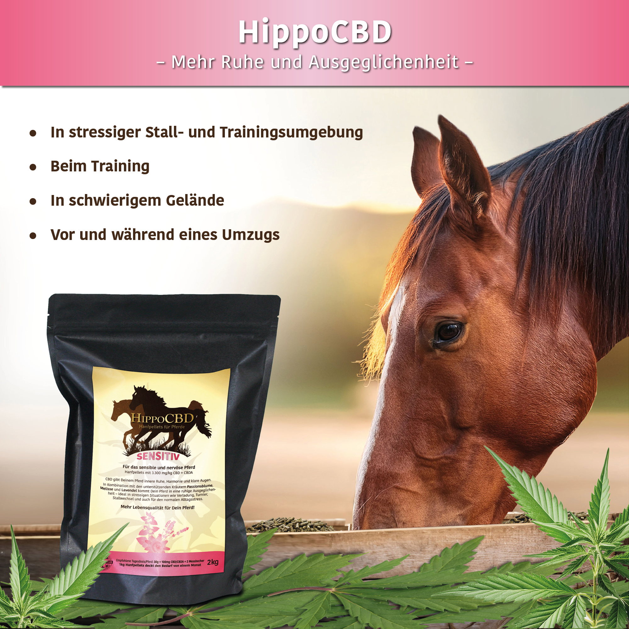 HippoCBD® Sensitiv - Hanfpellets für sensible und leicht nervöse Pferde