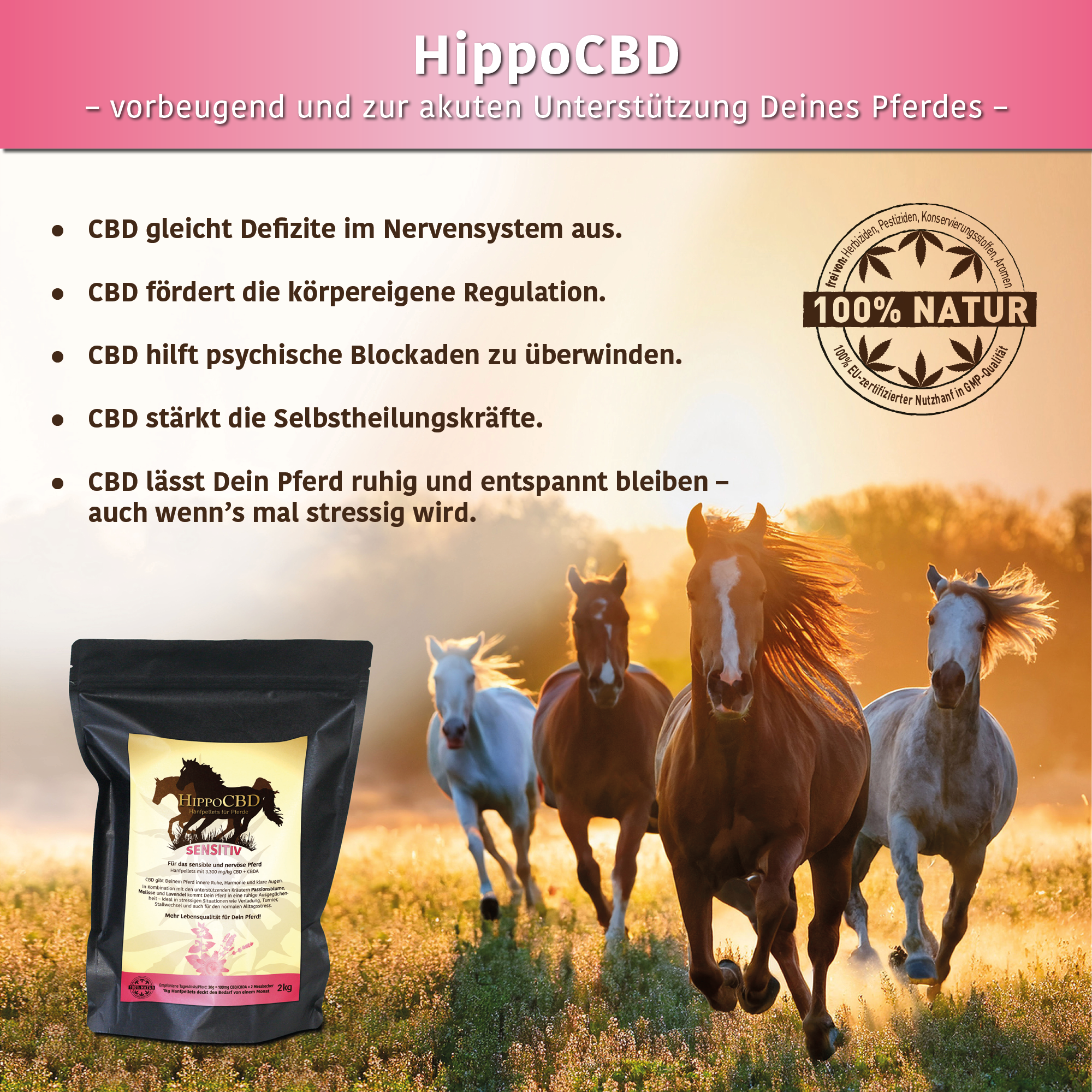 HippoCBD® Sensitiv - Hanfpellets für sensible und leicht nervöse Pferde