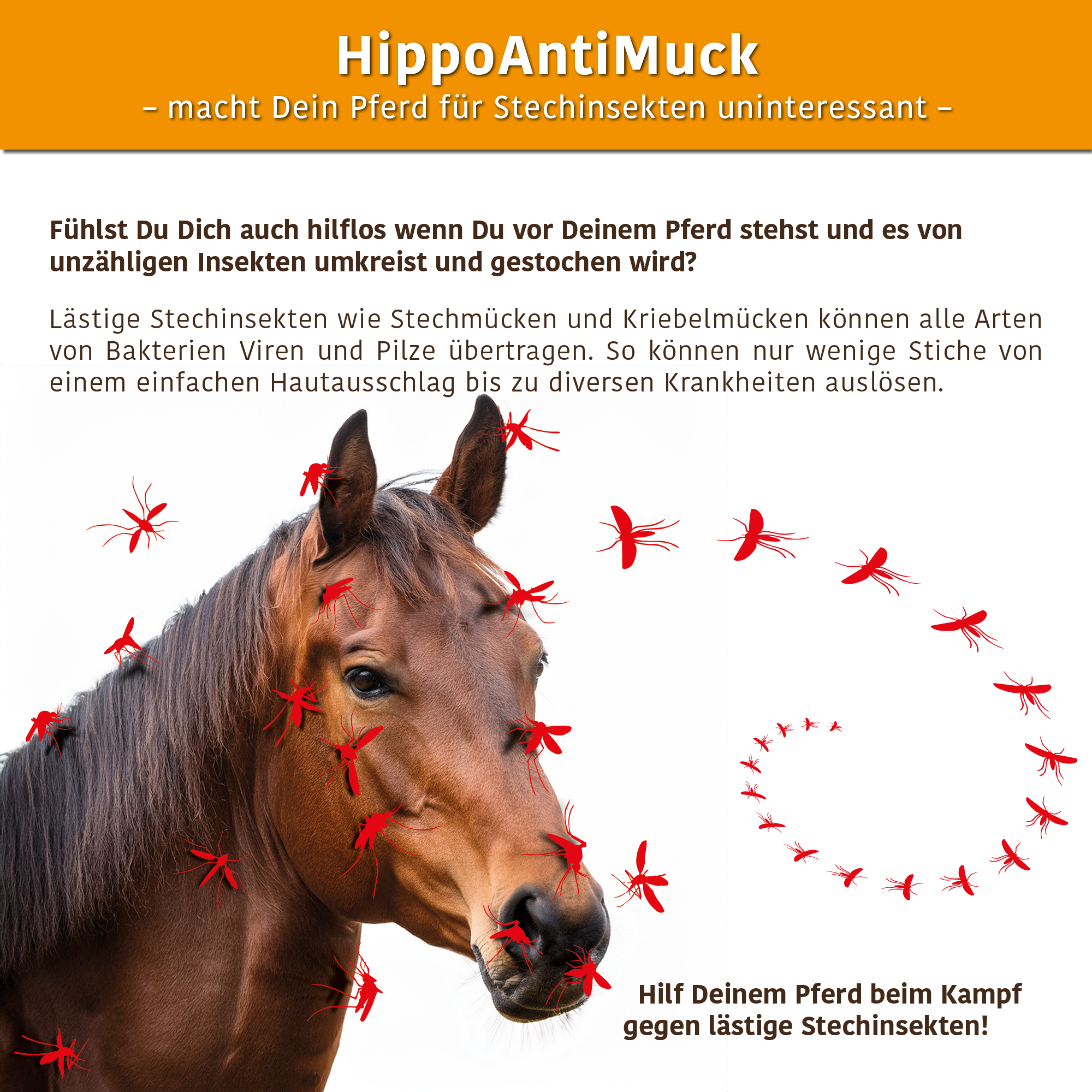 HippoCBD® antiMuck – Sicher durch die Mückensaison