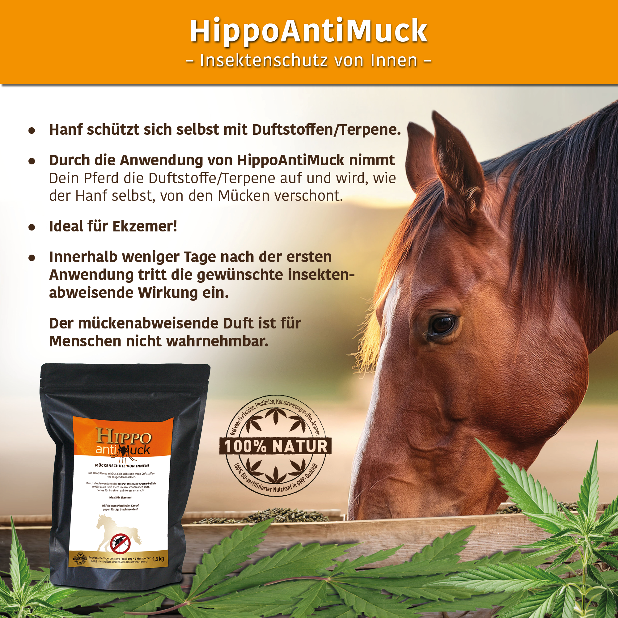 HippoCBD® antiMuck – Sicher durch die Mückensaison