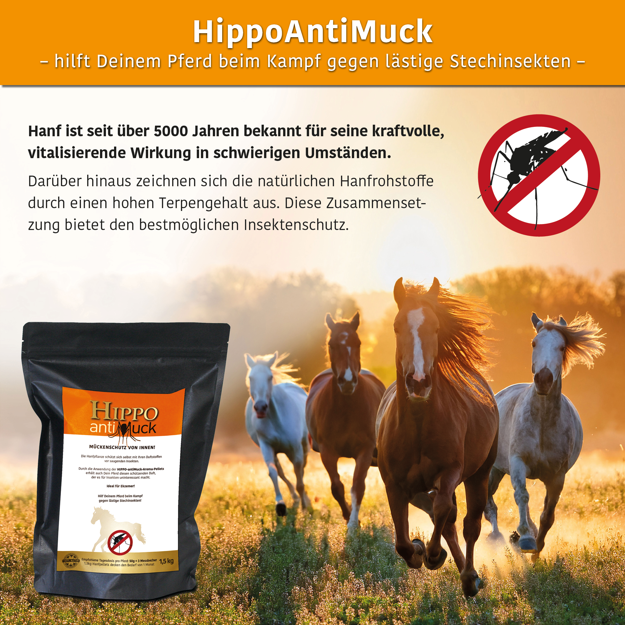 HippoCBD® antiMuck – Sicher durch die Mückensaison