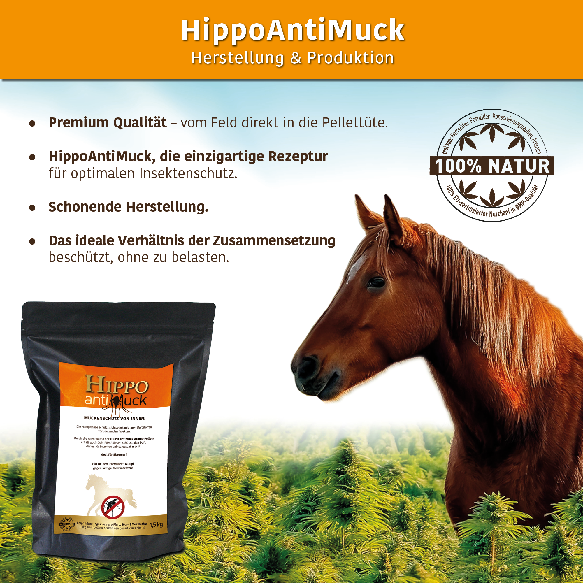 HippoCBD® antiMuck – Sicher durch die Mückensaison