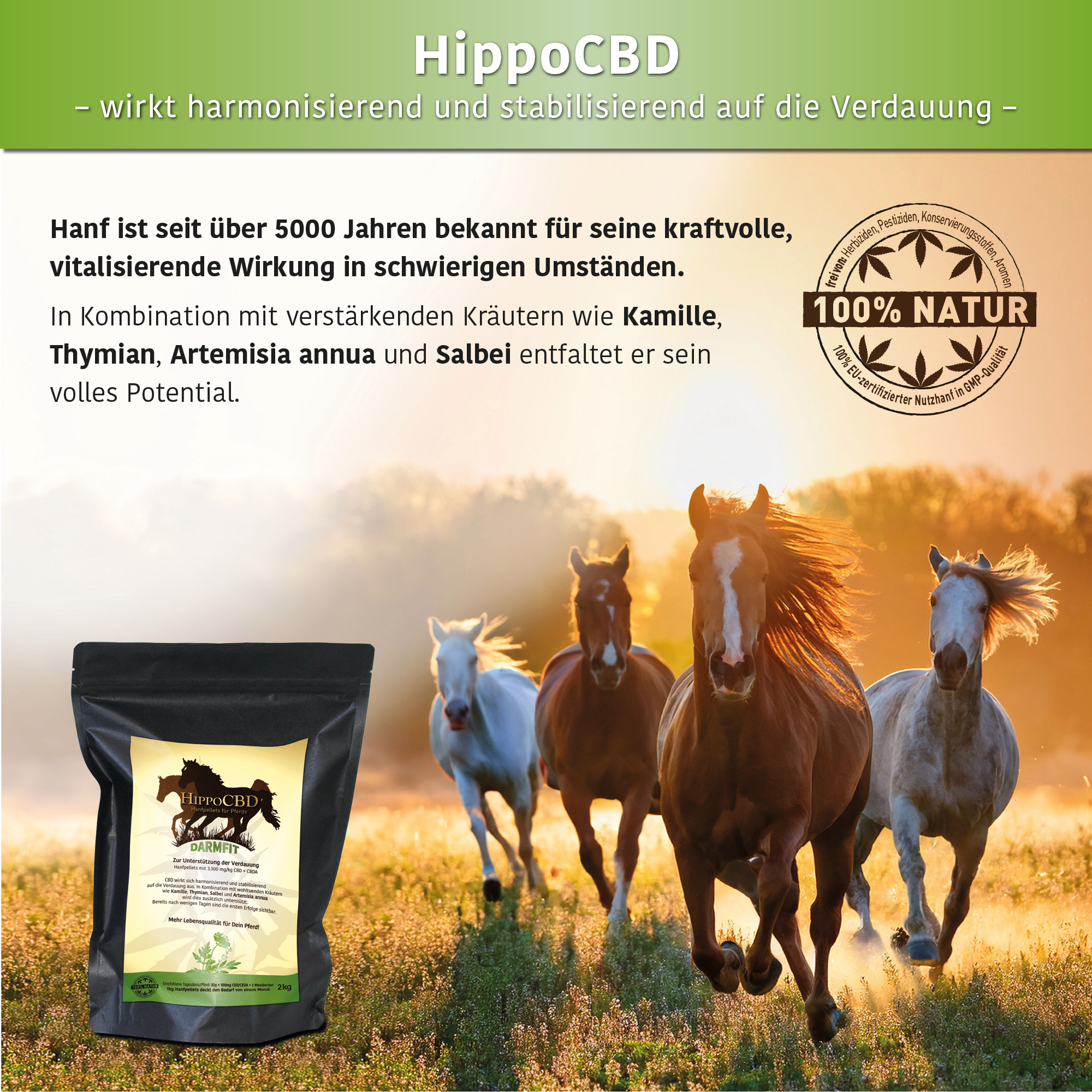 HippoCBD® Darmfit – Für die sensible Verdauung