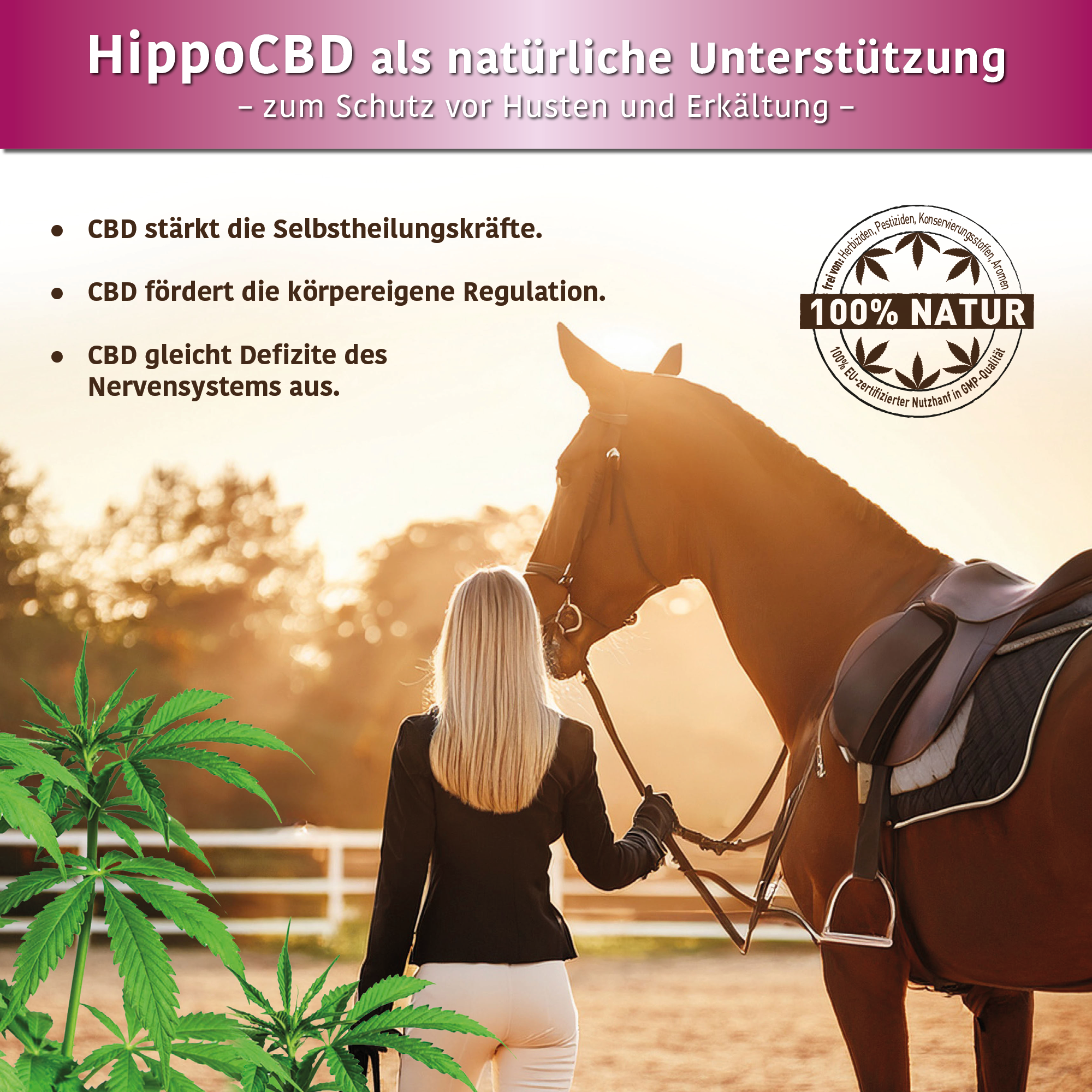 HippoCBD® Erkältungsfrei – Zum Schutz vor Husten und Erkältung