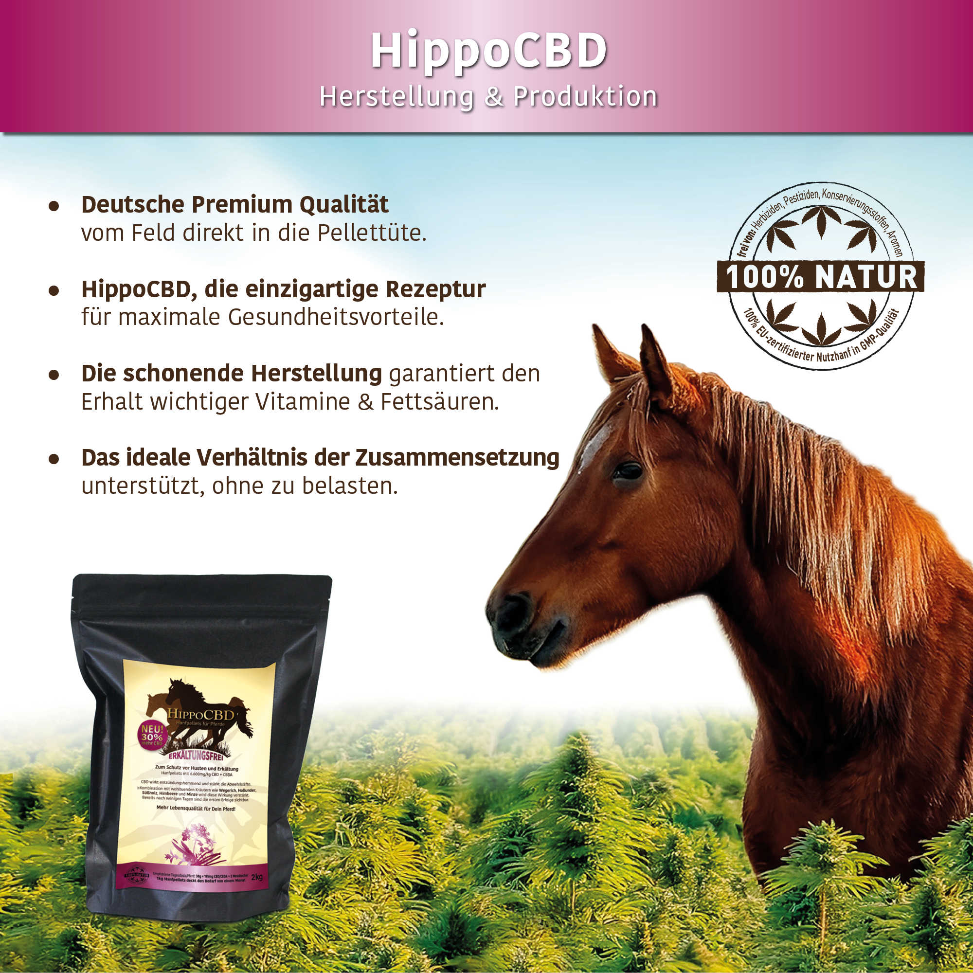 HippoCBD® Erkältungsfrei – Zum Schutz vor Husten und Erkältung