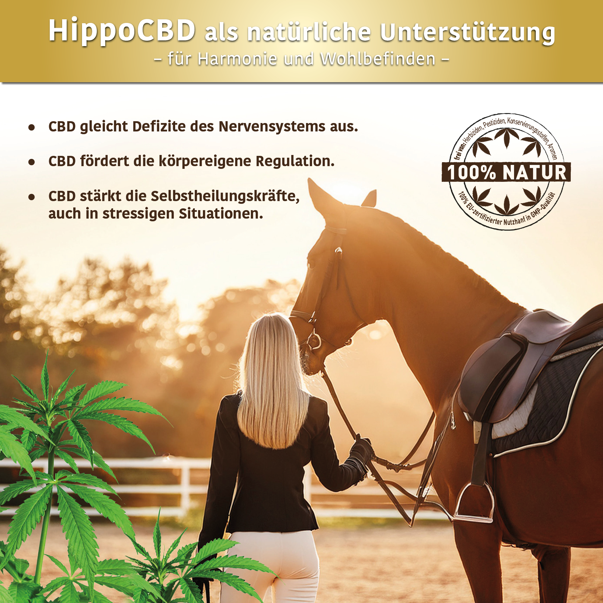 HippoCBD® Premium - Hanfpellets für Pferde