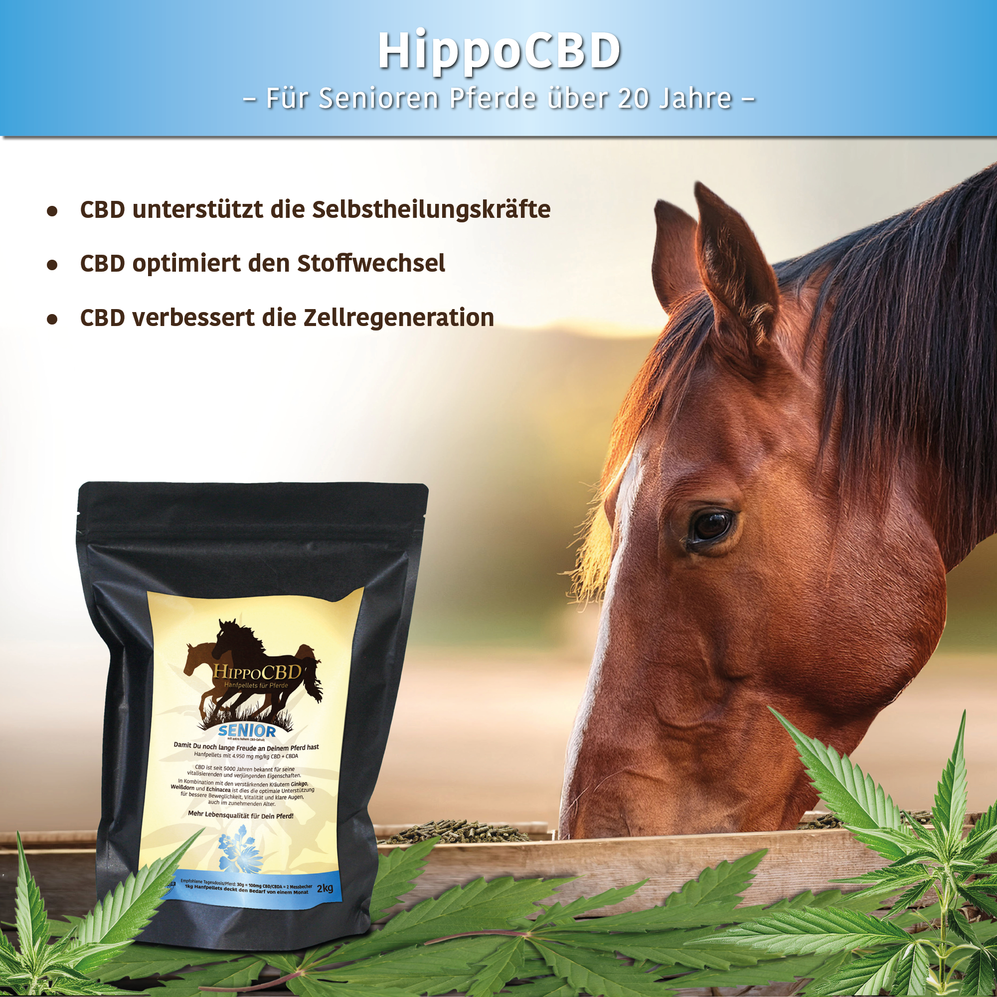 HippoCBD® Senior - Hanfpellets für ältere Pferde