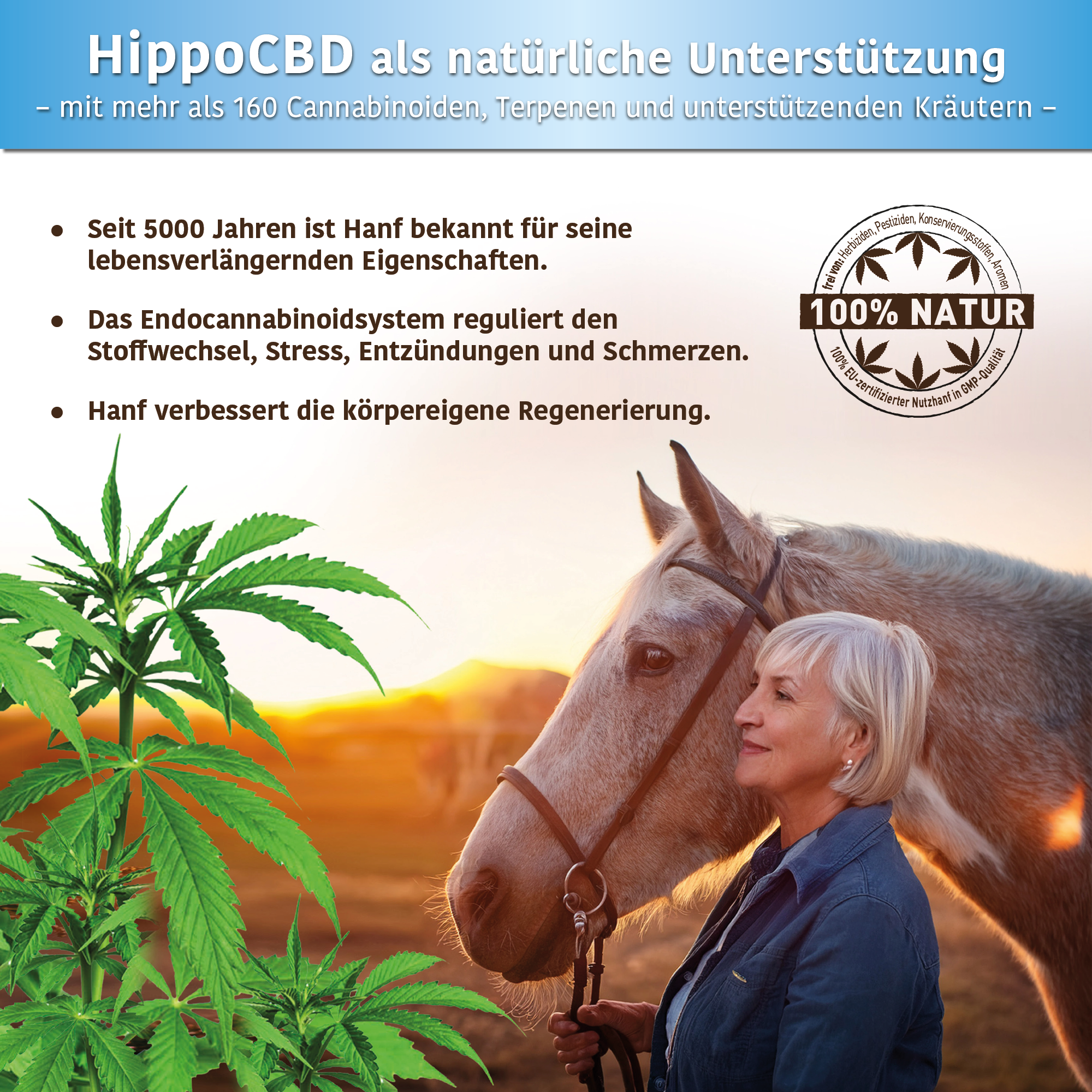 HippoCBD® Senior - Hanfpellets für ältere Pferde