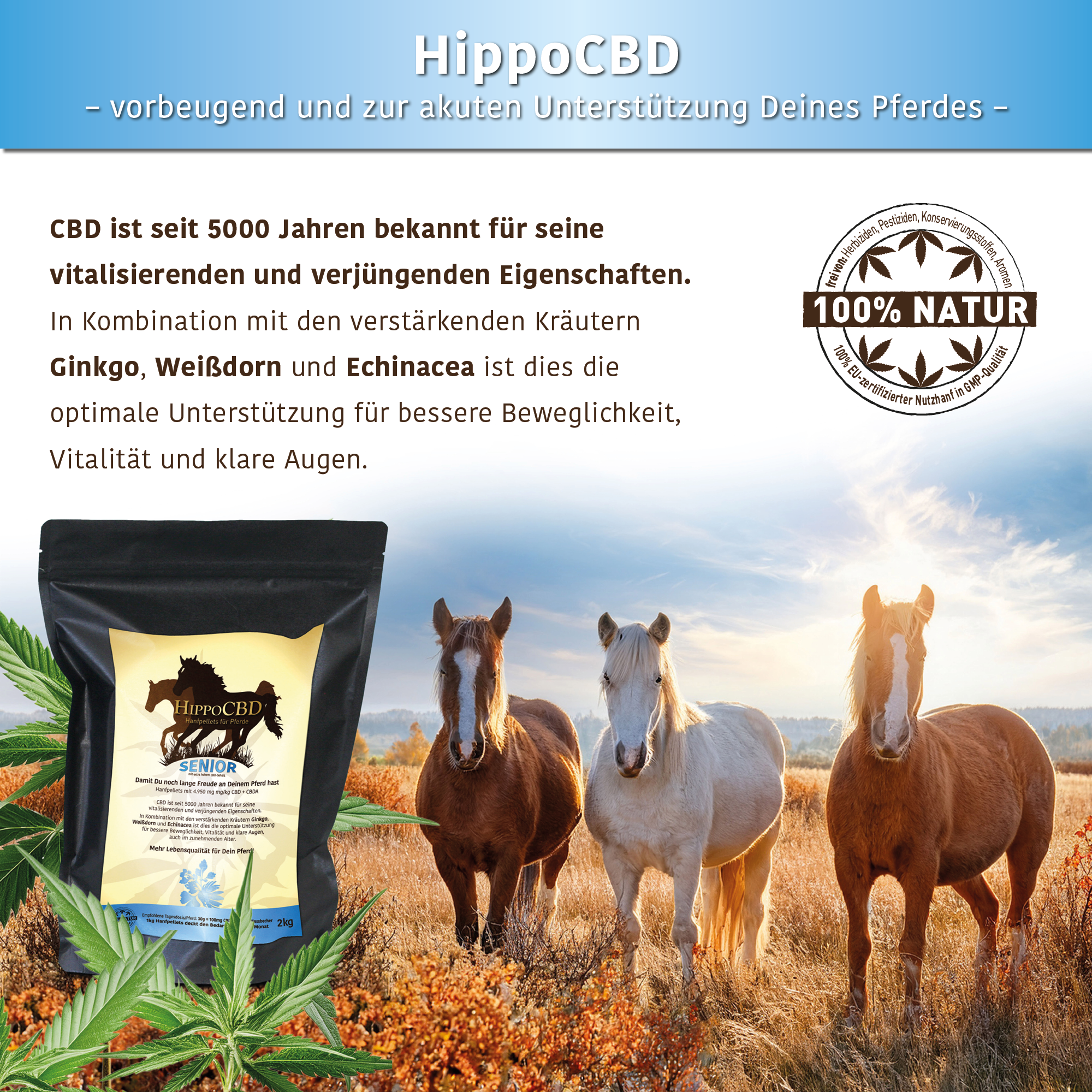 HippoCBD® Senior - Hanfpellets für ältere Pferde