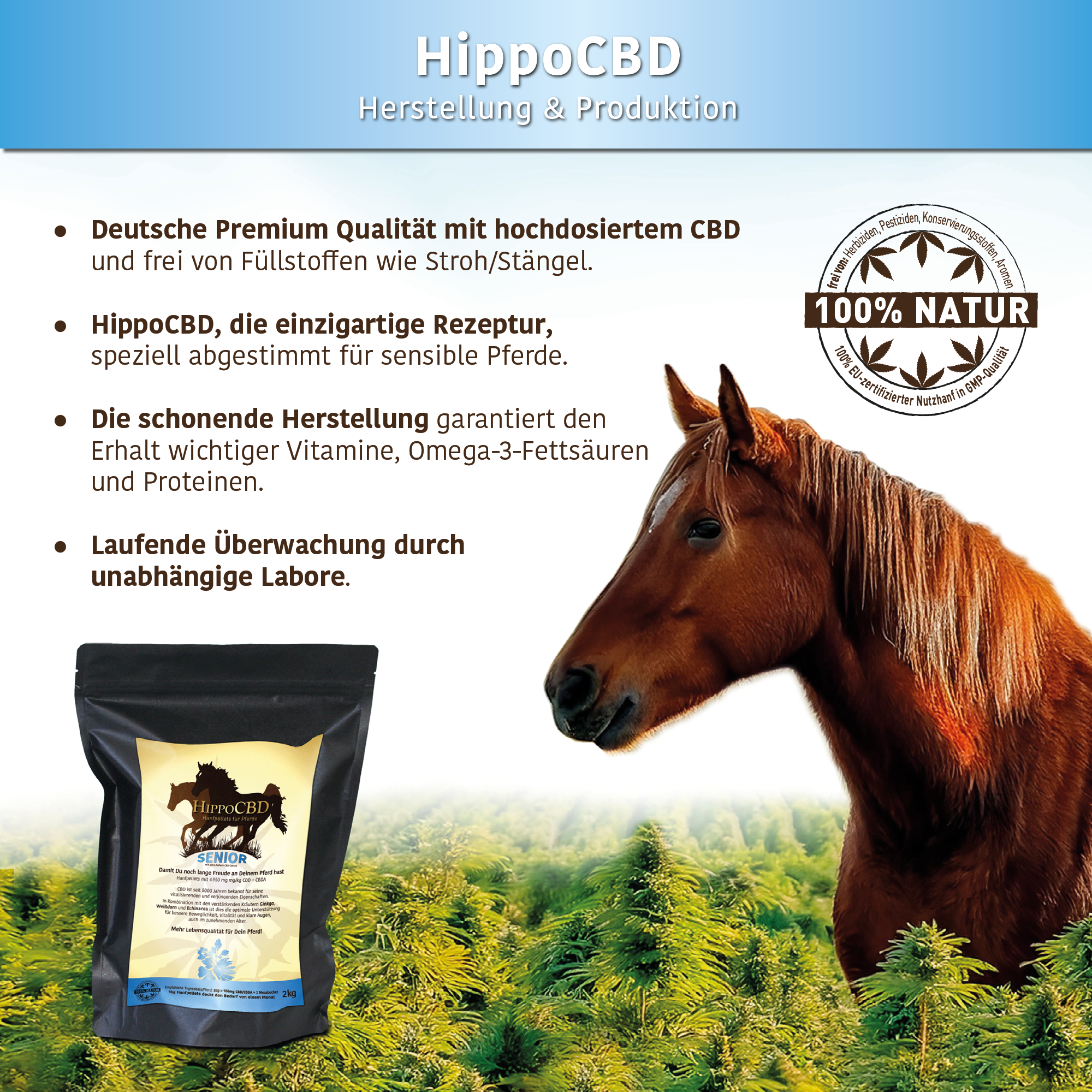 HippoCBD® Senior - Hanfpellets für ältere Pferde