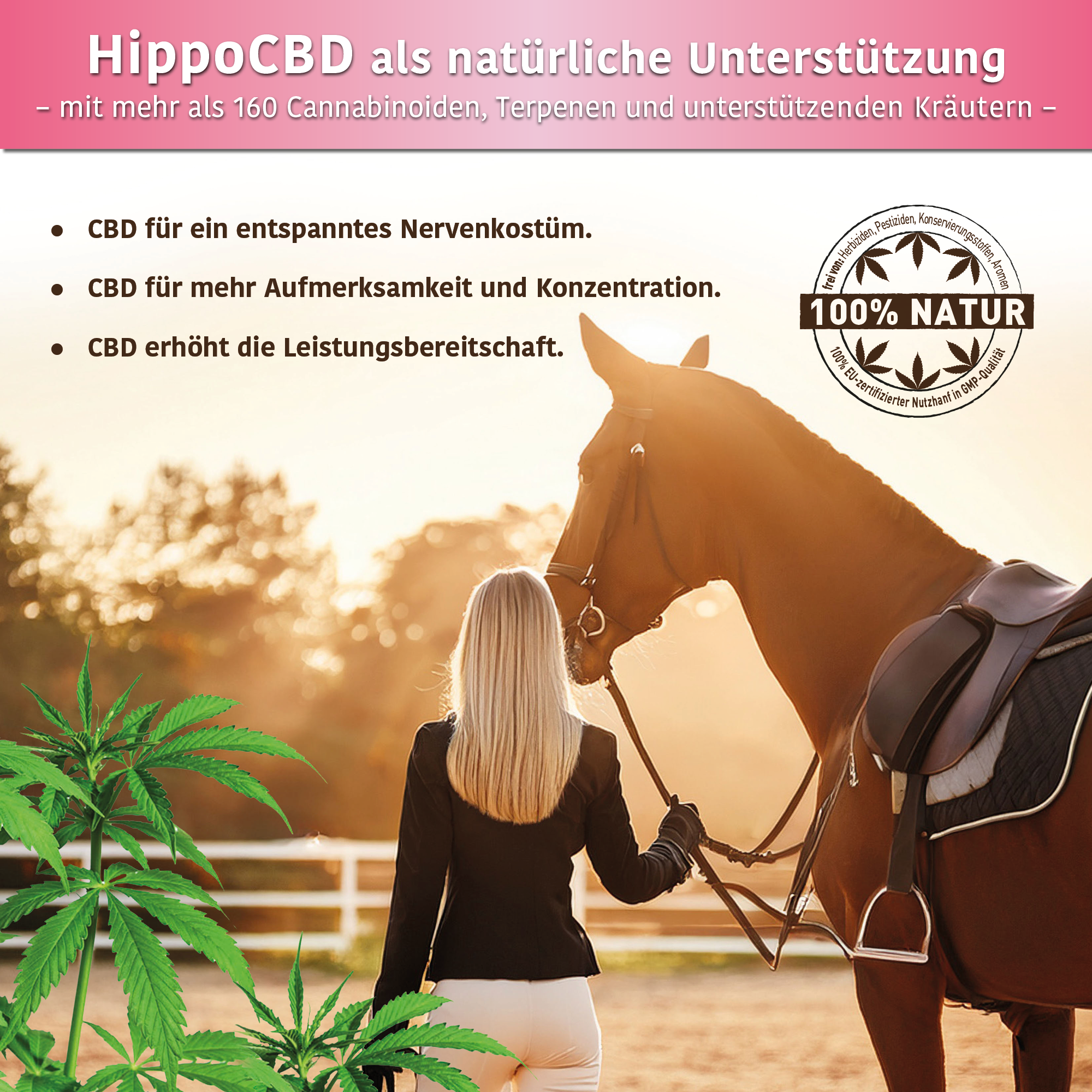HippoCBD® Sensitiv - Hanfpellets für sensible und leicht nervöse Pferde